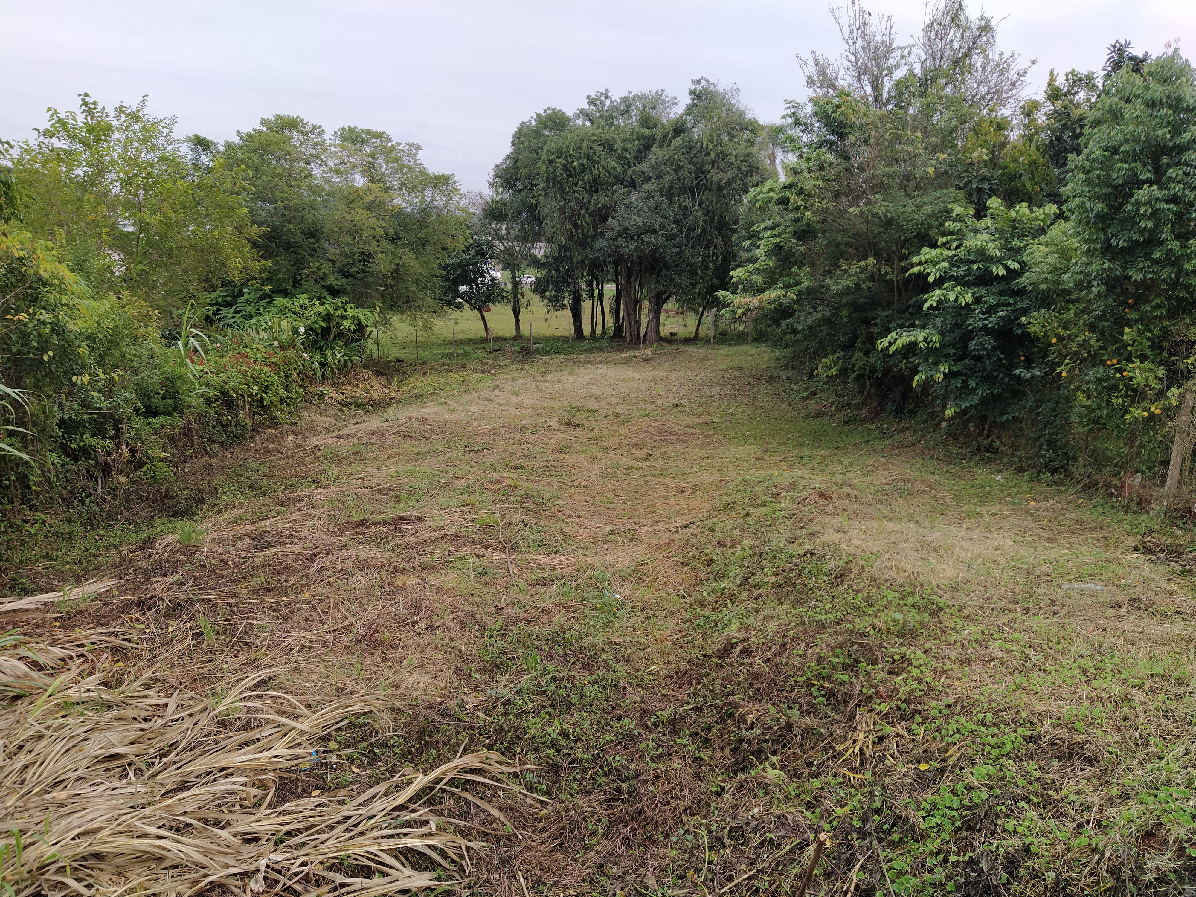 Terreno Canabarro