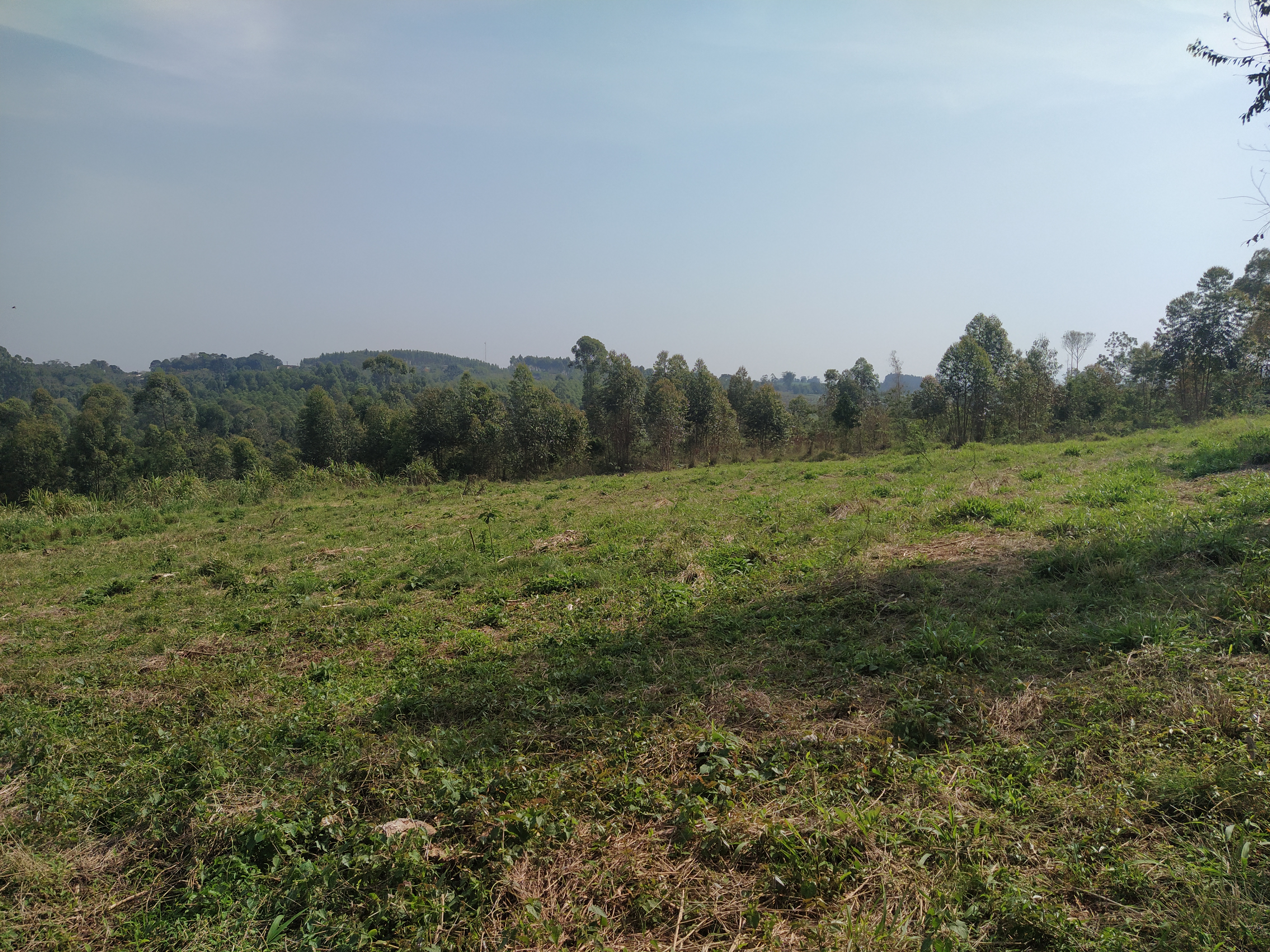 Área de Terras/Fazenda Vila Nova