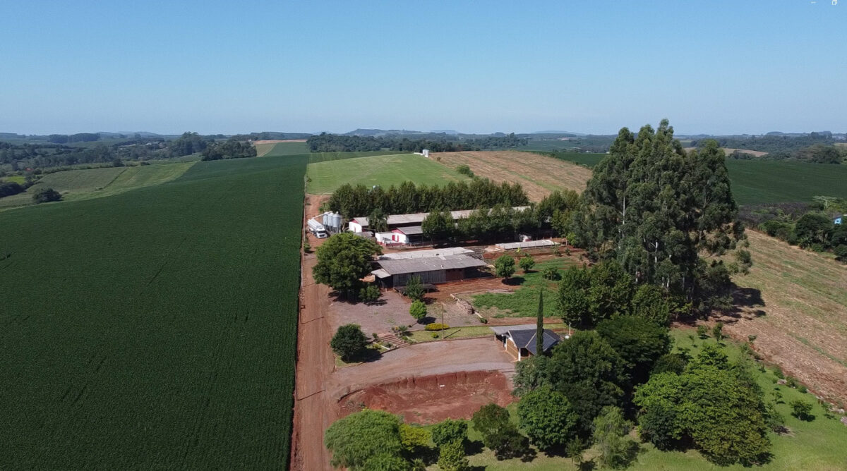 Área de Terras na Linha São Jacó
