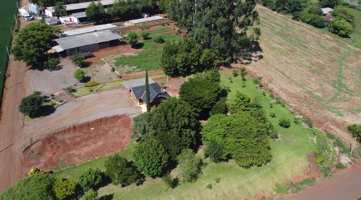 Área de Terras na Linha São Jacó