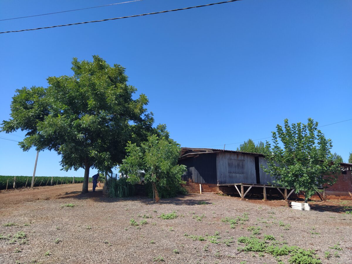 Área de Terras na Linha São Jacó
