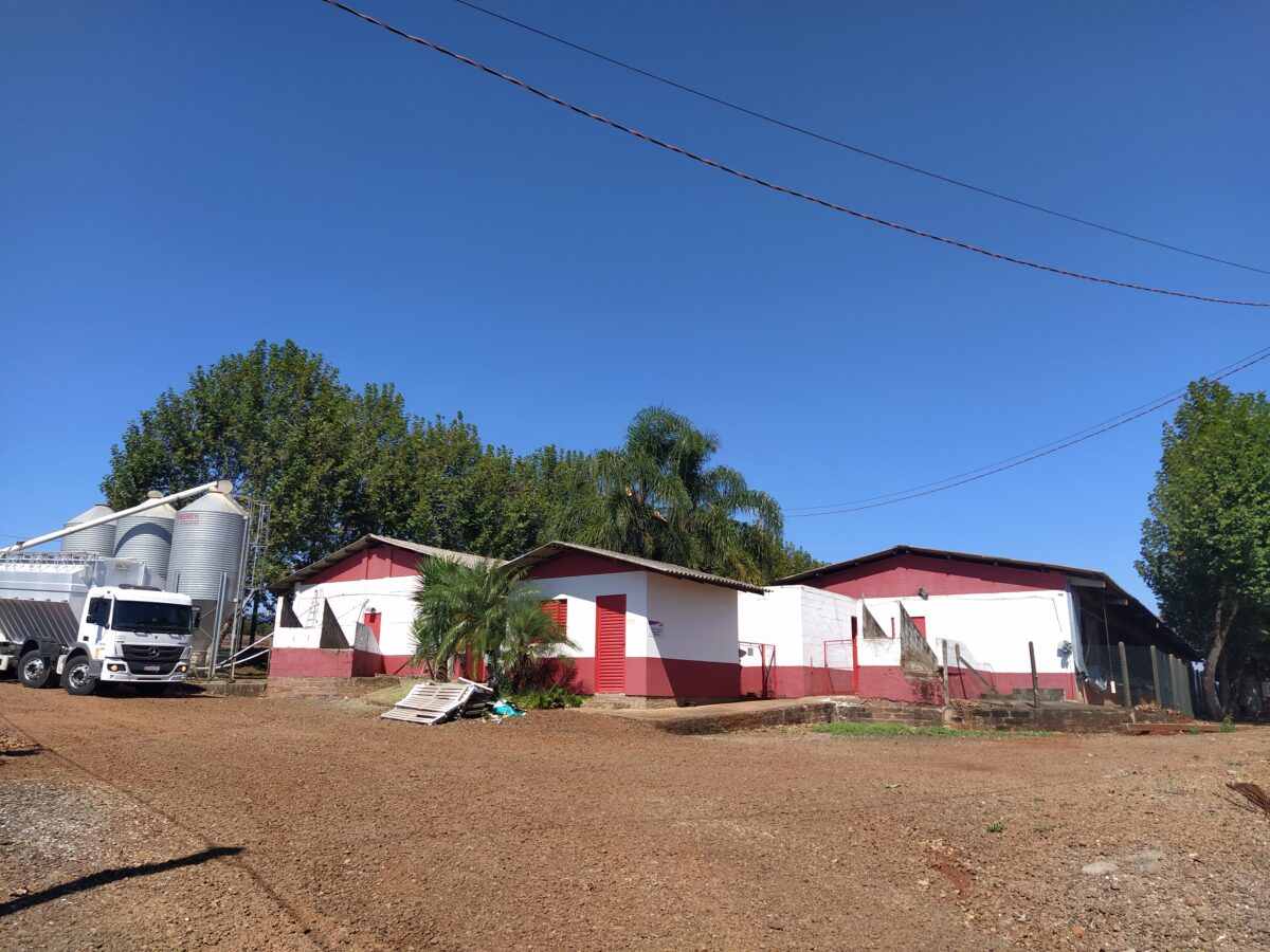 Área de Terras na Linha São Jacó