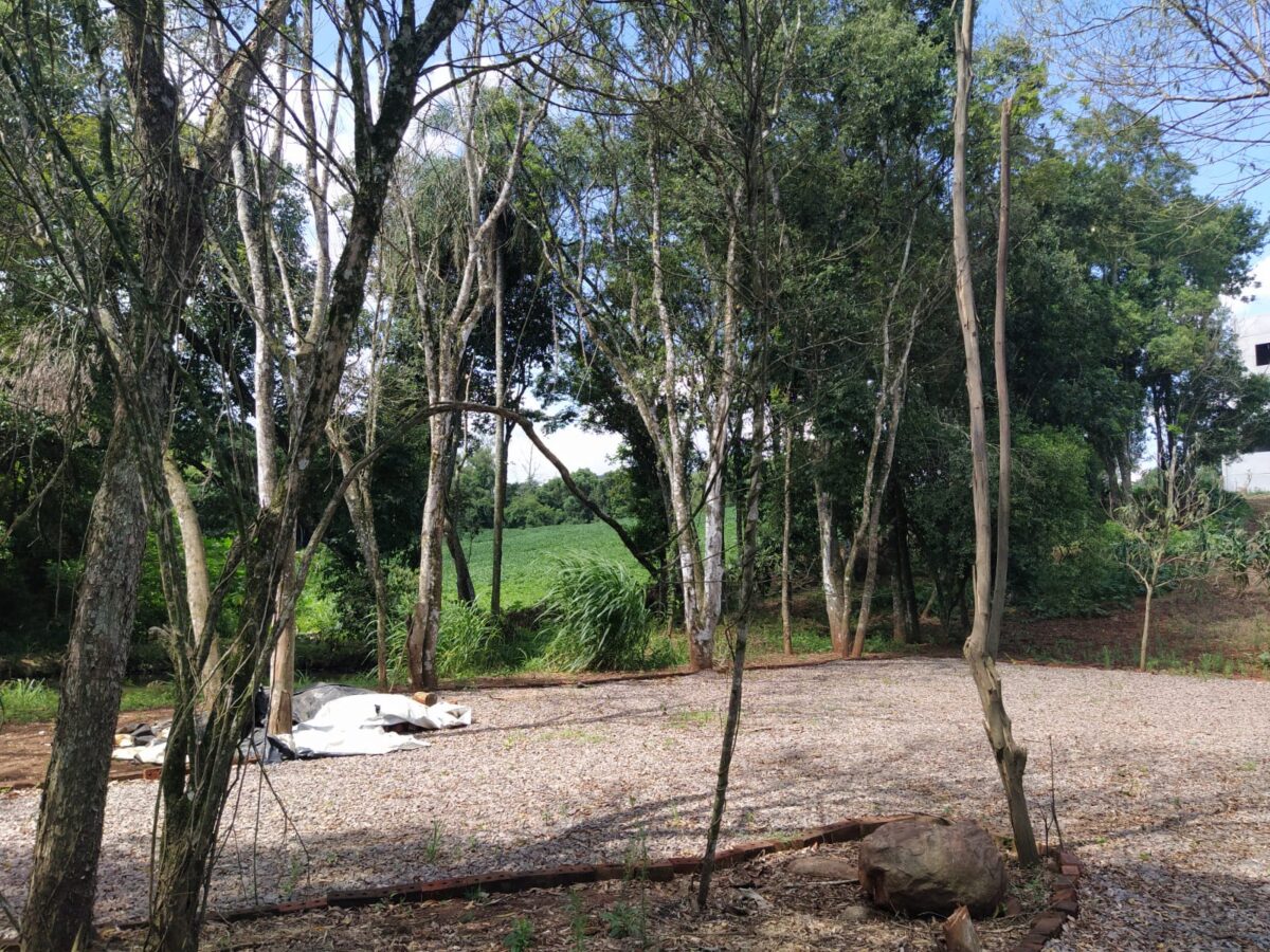 Área de terra