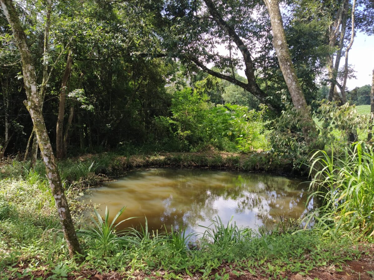 Área de terra